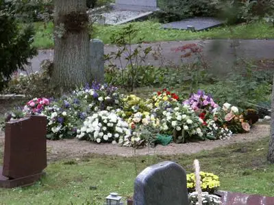 A day after my father's funeral 