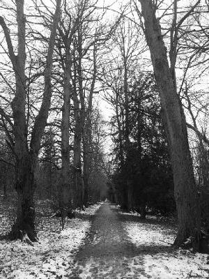 The Ridgeway Trail (now a bike trail)
