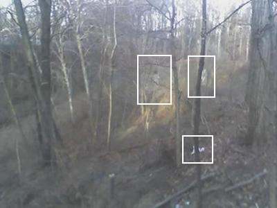 Ghost Apparitions
