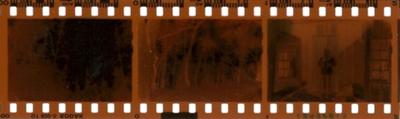 Negative of a Ghost in Broad Daylight
