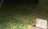 Haunted Cemetery?