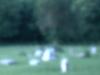 Ghost Face In Pic