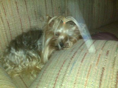 Tommy and his Pillow of Light