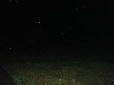 With Flash rain drops and orbs?